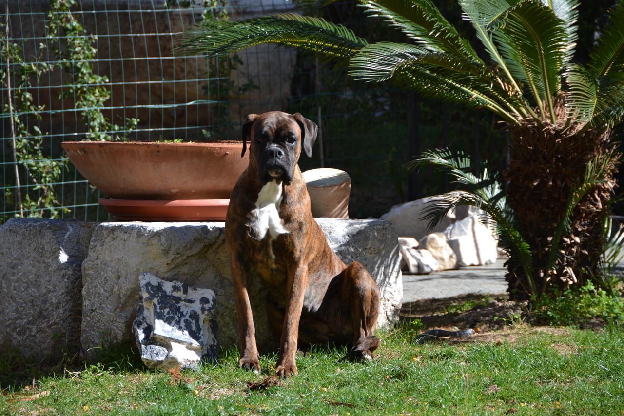 Casa Nina Bed & Breakfast Toirano Dış mekan fotoğraf
